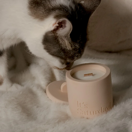 It's Saturday! No.024 午後奶茶 - 暖橘水泥香氛蠟燭 Wooden Wick Candle \寵物友善 Pet-friendly/