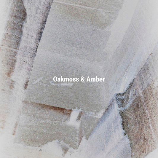 APFR Oakmoss & Amber Reed Diffuser|琥珀橡苔擴香瓶