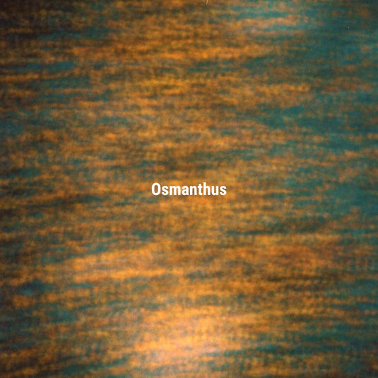 APFR Osmanthus Incense Sticks|桂花線香