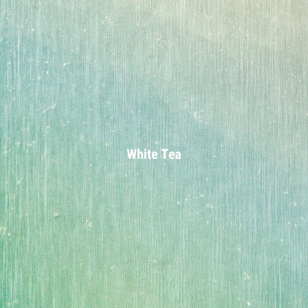 APFR White Tea Reed Diffuser|白茶擴香瓶