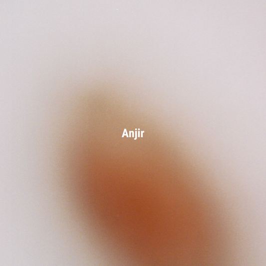 APFR Anjir Fragrance Candle|茴香無花果蠟燭