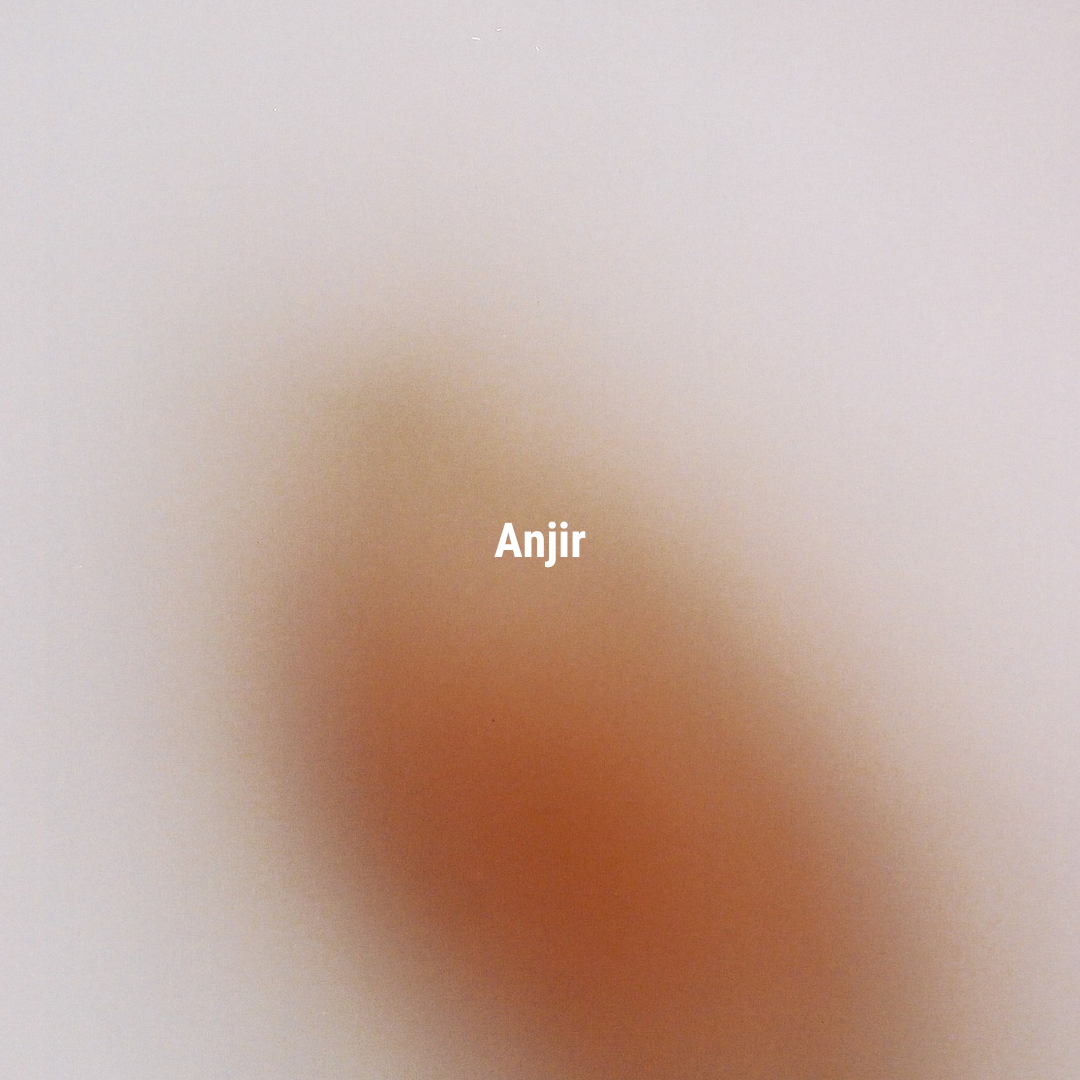 APFR Anjir Incense Sticks|茴香無花果線香