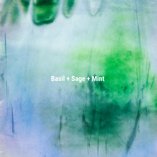APFR Basil + Sage + Mint Fragrance Candle|羅勒鼠尾草蠟燭