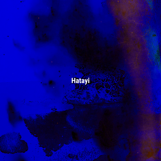 APFR Hatayi Reed Diffuser|黑醋栗玫瑰擴香瓶