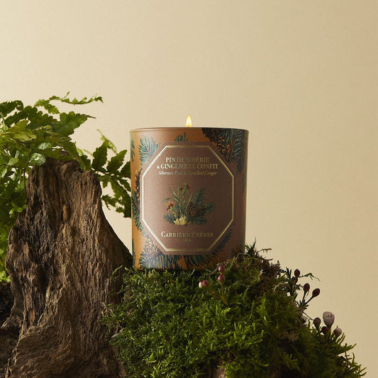 Carrière Frères Christmas Edition Siberian Pine & Candied Ginger Scented Candle|西伯利亞松柏與蜜餞薑