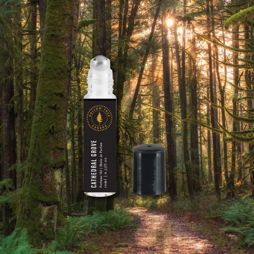 Hollow Tree Cathedral Grove Perfume Oil 教堂雨林滾珠香水油|冷杉