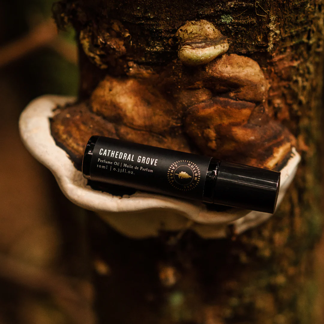 Hollow Tree Cathedral Grove Perfume Oil 教堂雨林滾珠香水油|冷杉