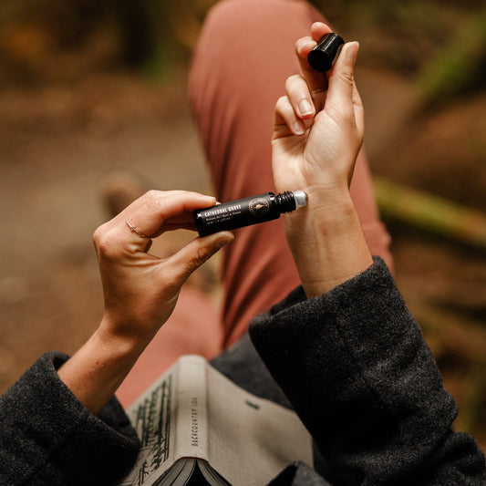 Hollow Tree Cathedral Grove Perfume Oil 教堂雨林滾珠香水油|冷杉