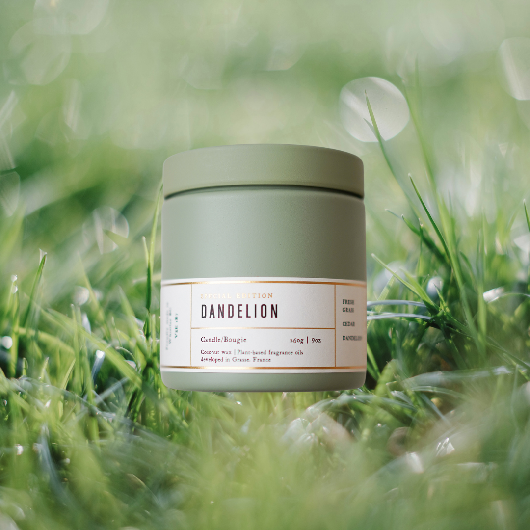Hollow Tree Dandelion Candle 蒲公英蠟燭|青草 \寵物友善 Pet-friendly/