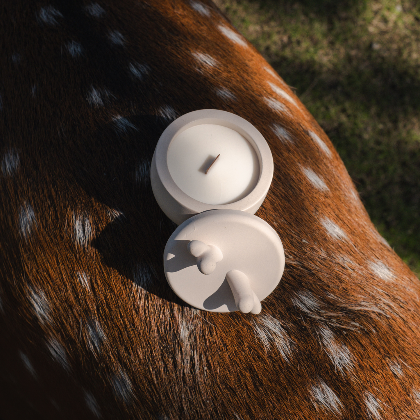 It's Saturday! 🎄聖誕限定鹿角款🦌木質調 - 斑比森林水泥香氛蠟燭 Wooden Wick Candle \寵物友善 Pet-friendly/