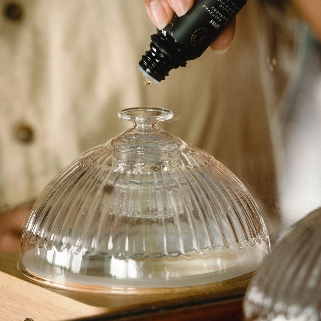 Hollow Tree Lone Pine Diffuser Oil 孤寂松木擴香油|松樹