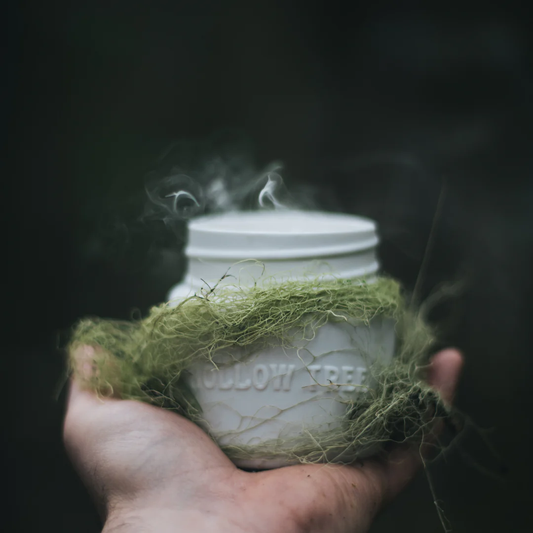 Hollow Tree Lichen Candle 大地之衣蠟燭|沒藥琥珀 \寵物友善 Pet-friendly/