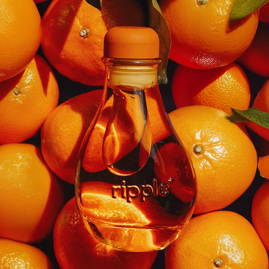 Orange Blossom Reed Diffuser 橙花凝神擴香|FOCUS