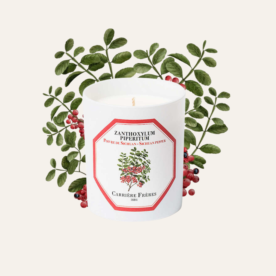 Carrière Frères Sichuan Pepper Scented Candle|四川花椒 Zanthoxylum Piperitum