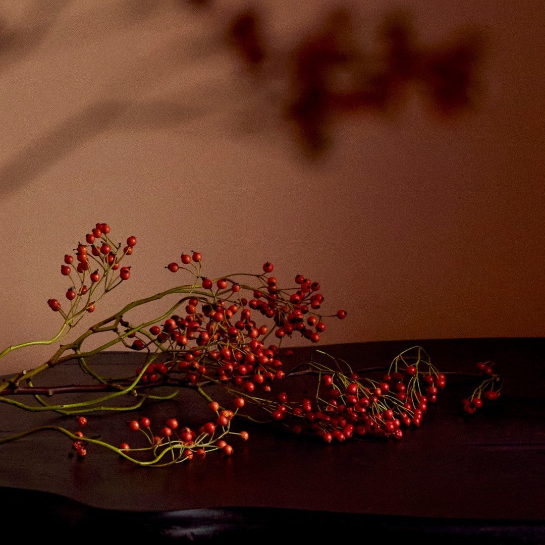 Carrière Frères Sichuan Pepper Scented Candle|四川花椒 Zanthoxylum Piperitum