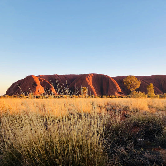 LUMIRA Terra Australis Candle 澳洲大地之行蠟燭