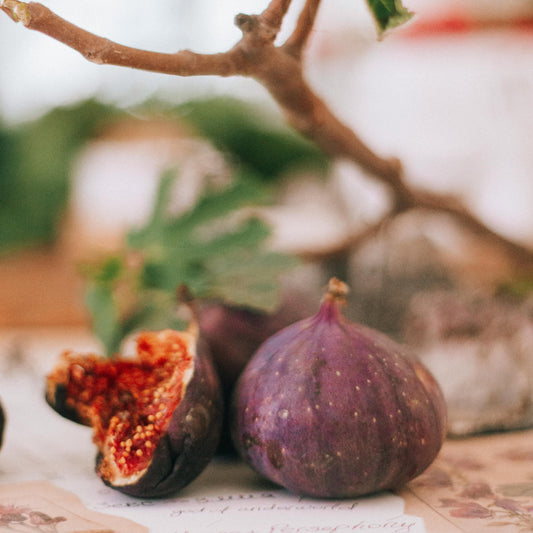 LUMIRA Tuscan Fig Candle 托斯卡尼無花果蠟燭