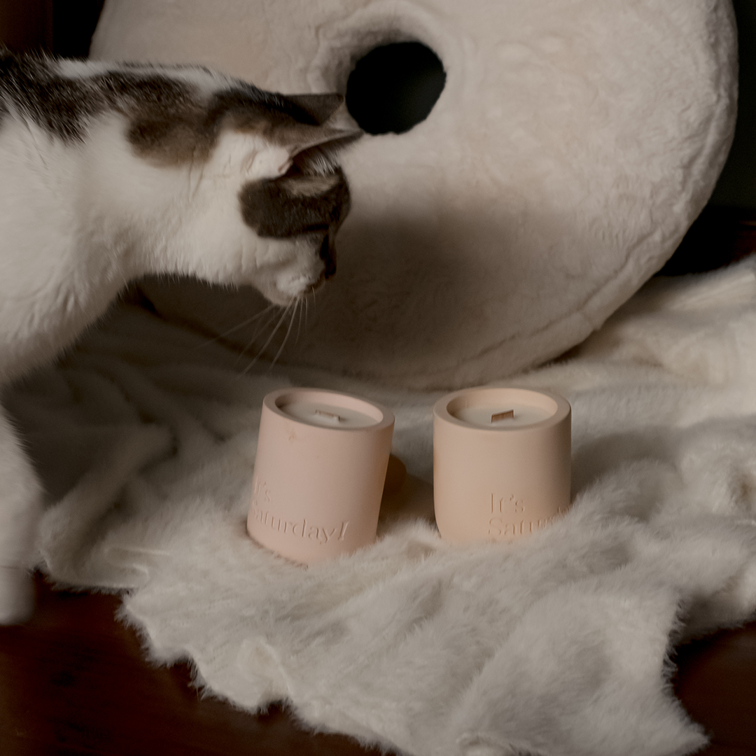 It's Saturday! No.020 落日餘暉 - 粉塵藕水泥香氛蠟燭 Wooden Wick Candle \寵物友善 Pet-friendly/