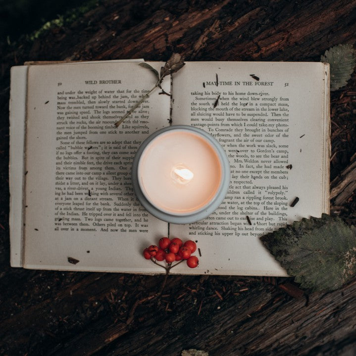 Hollow Tree Amour Candle 愛語蠟燭|黑石榴 \寵物友善 Pet-friendly/