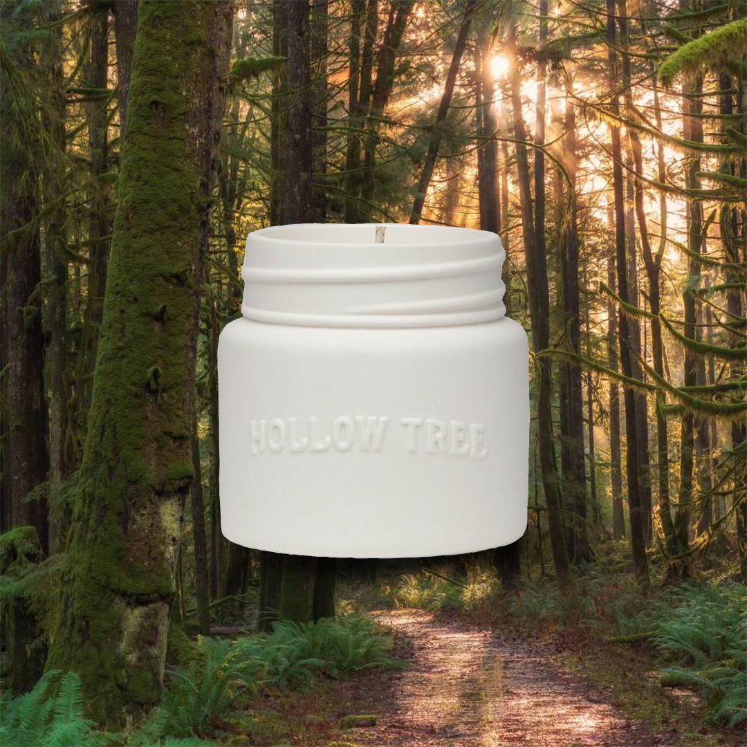 Hollow Tree Cathedral Grove Candle 教堂雨林蠟燭|冷杉 \寵物友善 Pet-friendly/