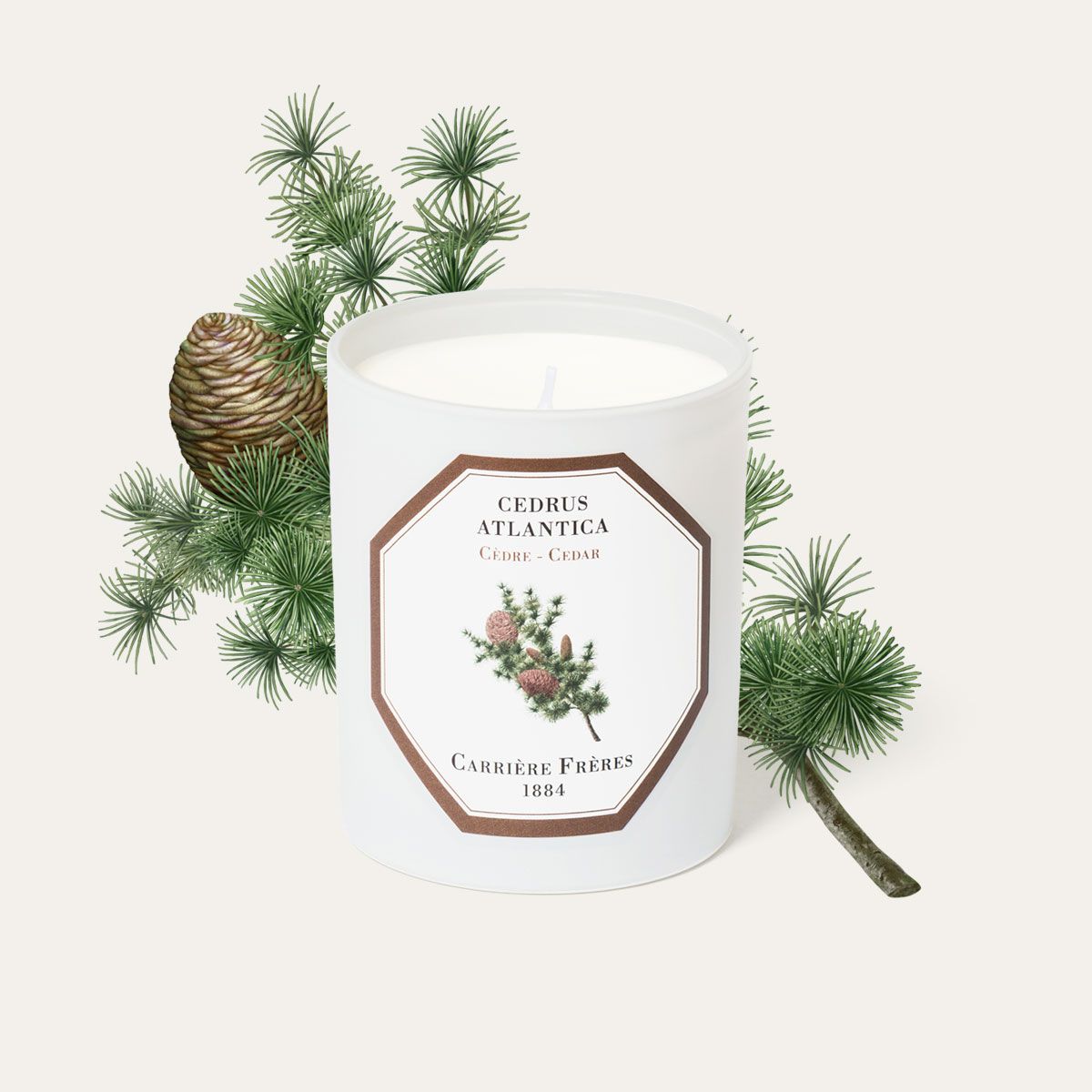 Carrière Frères Cedar Scented Candle|雪松 Cedrus Atlantica