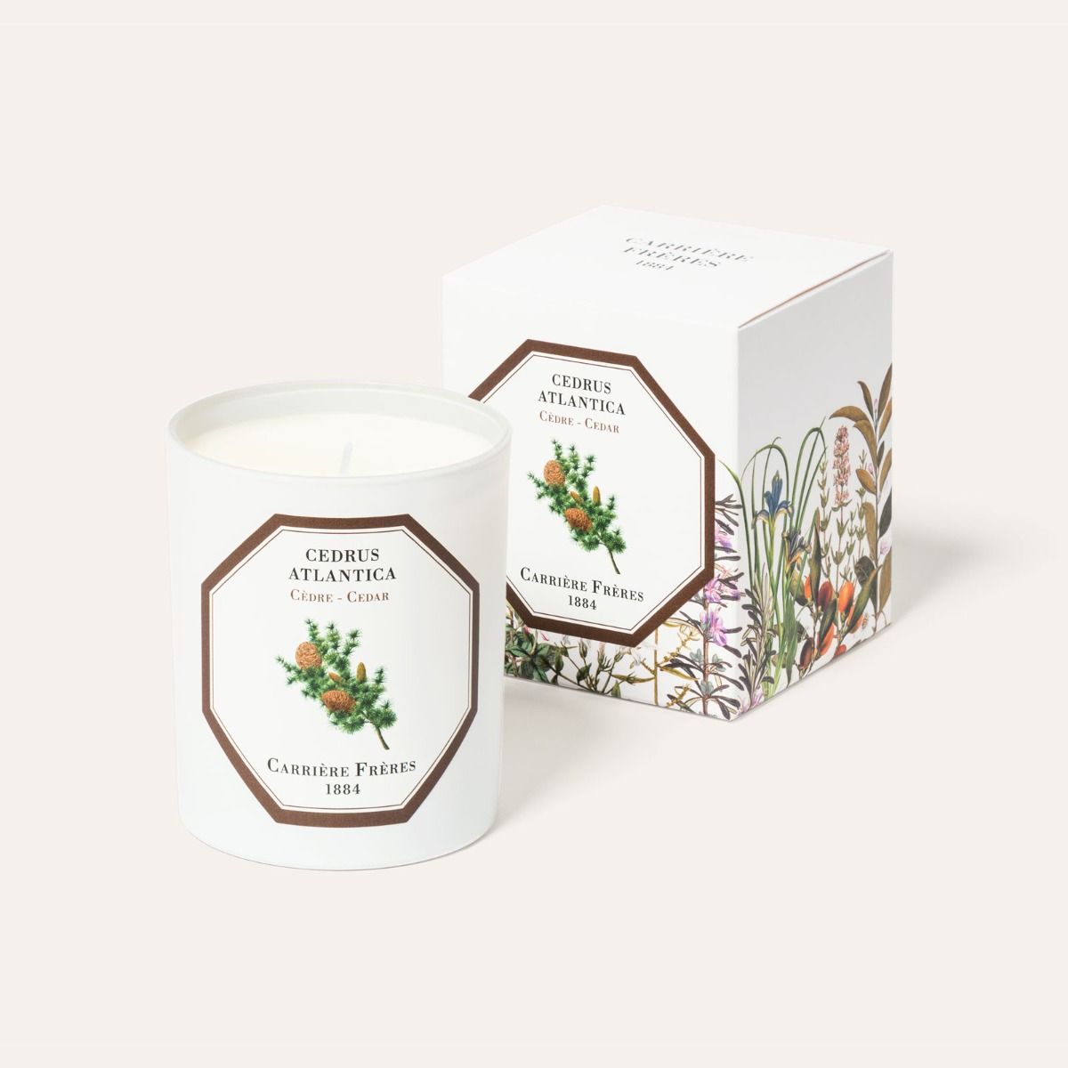 Carrière Frères Cedar Scented Candle|雪松 Cedrus Atlantica
