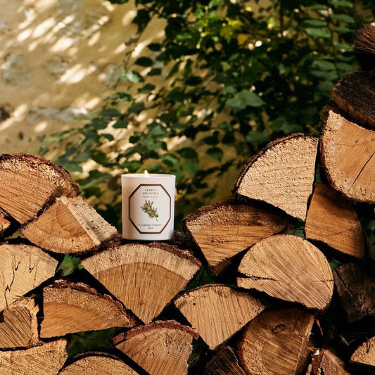Carrière Frères Cedar Scented Candle|雪松 Cedrus Atlantica