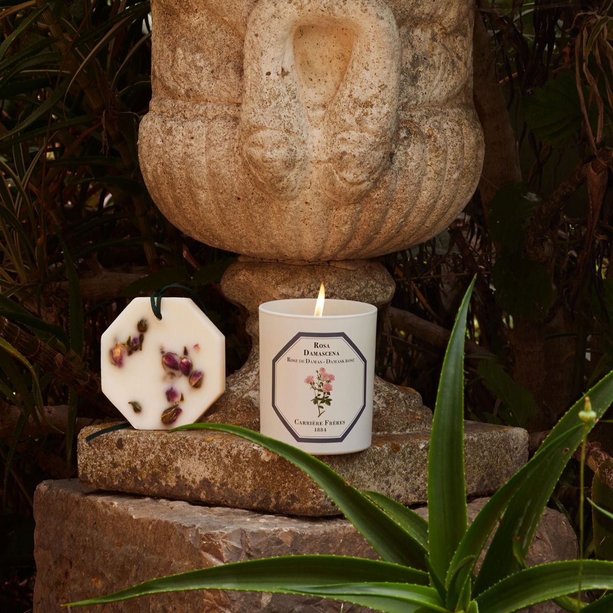 Carrière Frères Damask Rose Scented Candle|大馬士革玫瑰 Rosa Damascena