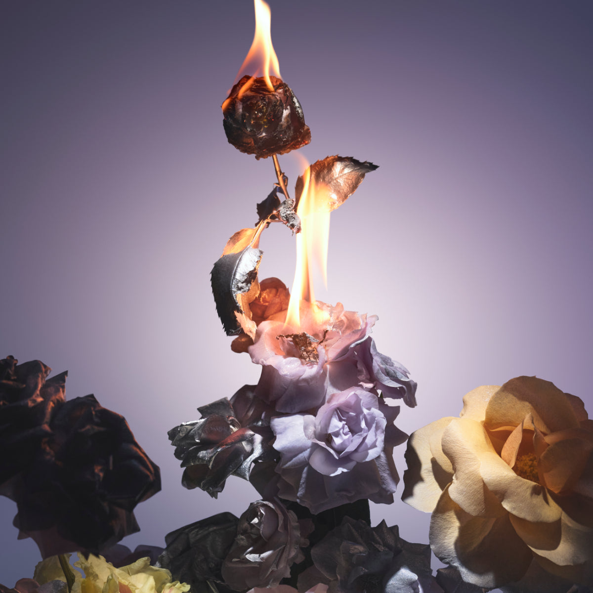 Boy Smells Hypernature Fleurshadow Candle 花之魅影蠟燭