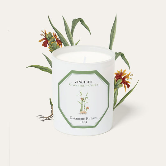 Carrière Frères Ginger Scented Candle|生薑 Zingiber