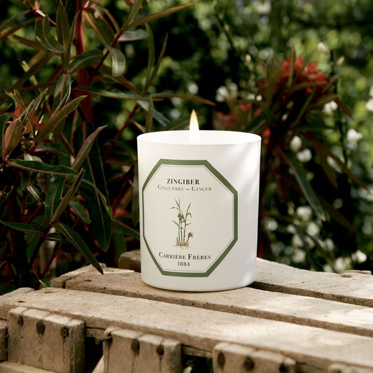 Carrière Frères Ginger Scented Candle|生薑 Zingiber