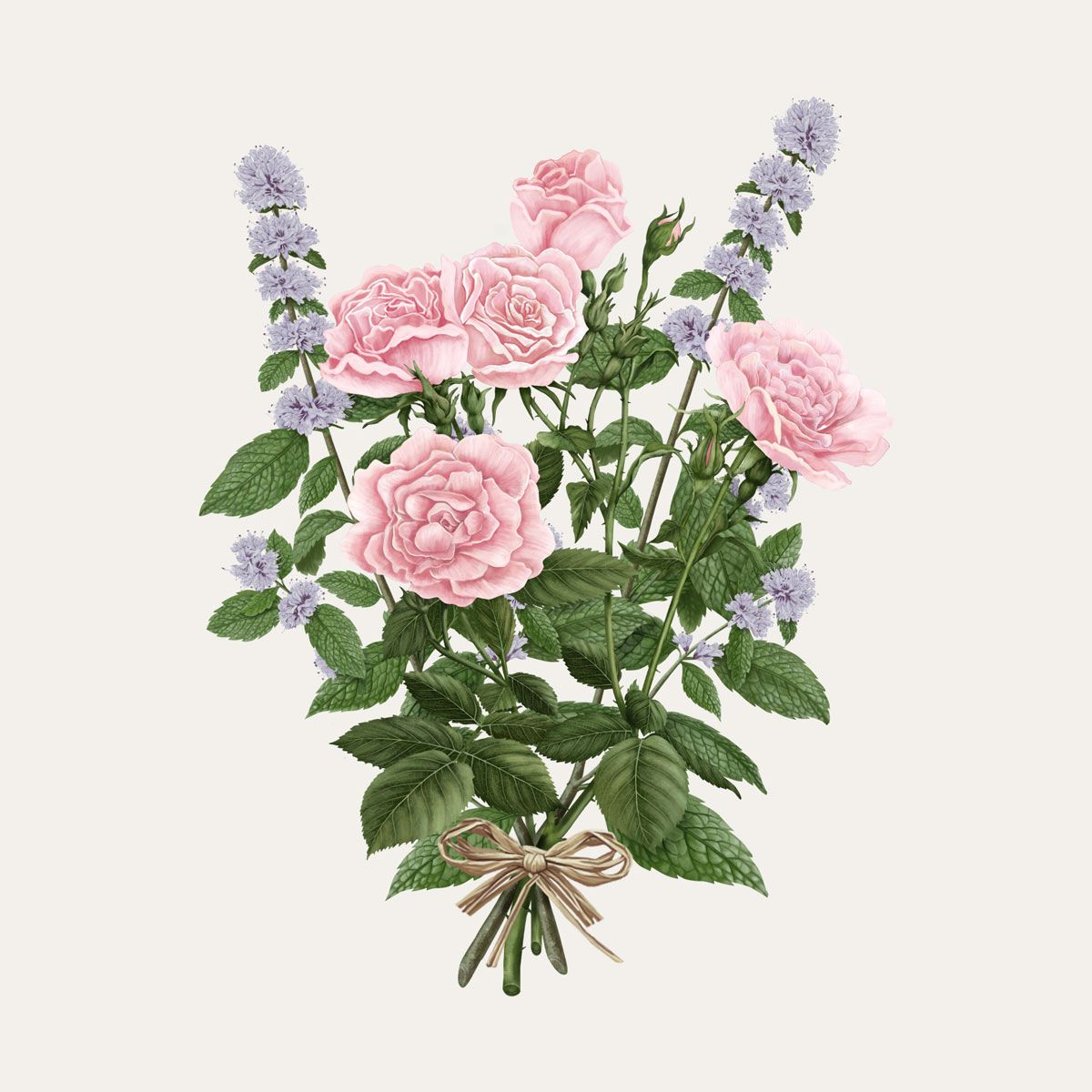 Carrière Frères La Rose Aime la Menthe Diffuser|玫瑰愛薄荷限量擴香瓶