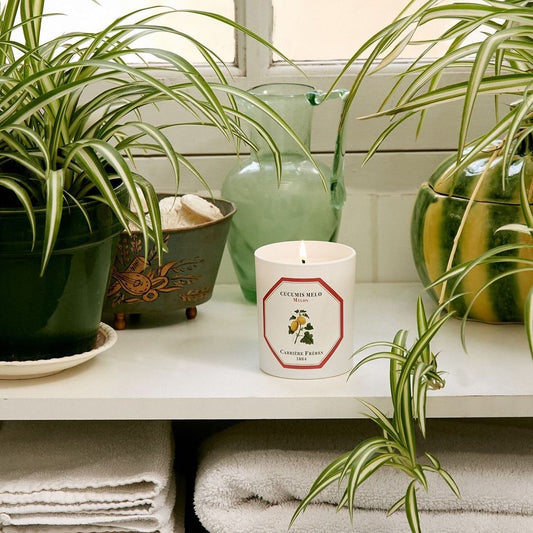 Carrière Frères Melon Scented Candle|蜜瓜 Cucumis Melon