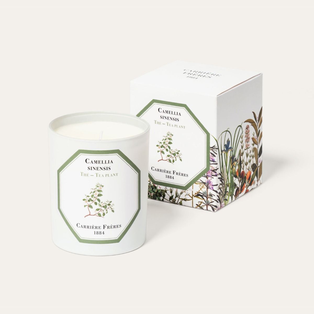 Carrière Frères Tea Plant Scented Candle|紅茶 Camellia Sinensis