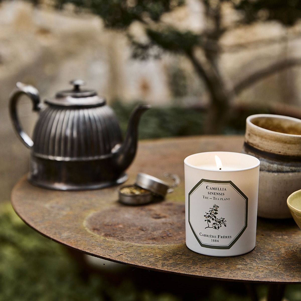 Carrière Frères Tea Plant Scented Candle|紅茶 Camellia Sinensis