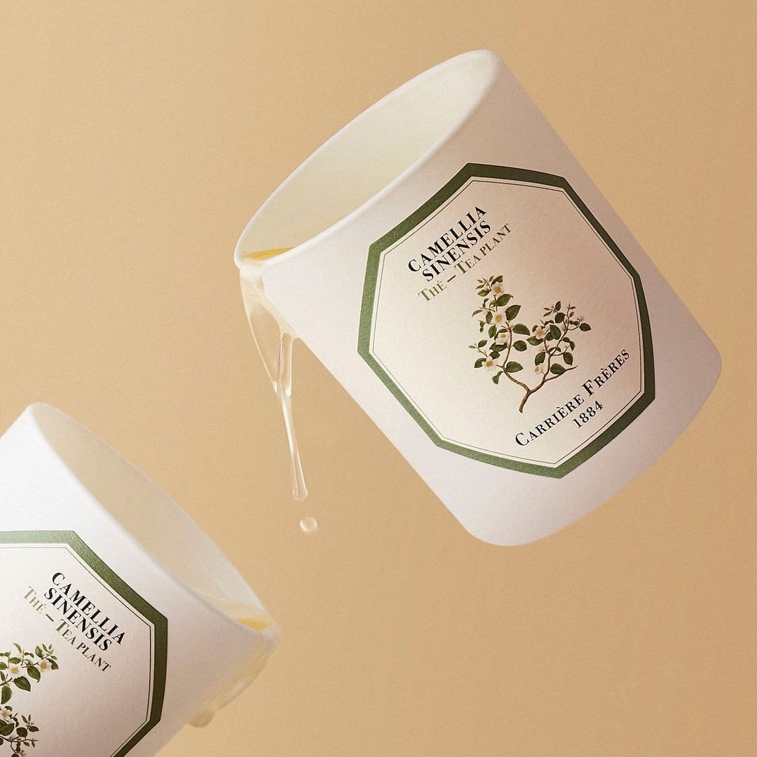 Carrière Frères Tea Plant Scented Candle|紅茶 Camellia Sinensis