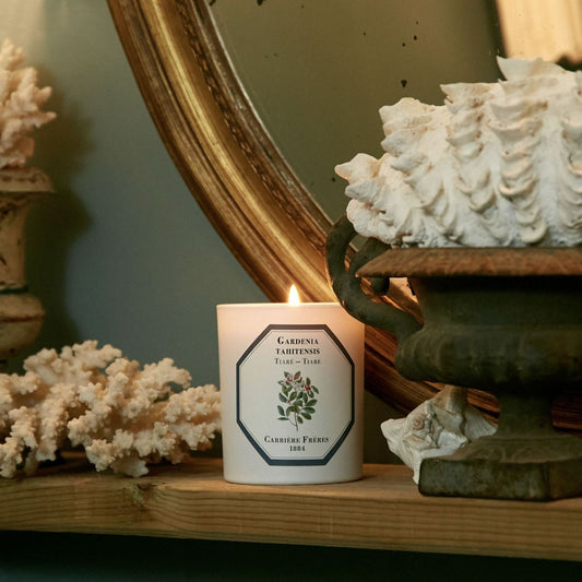 Carrière Frères Tiare Scented Candle|梔子花 Gardenia Tahitensis