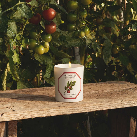 Carrière Frères Tomato Scented Candle|蕃茄 Lycopersicon Esculentum