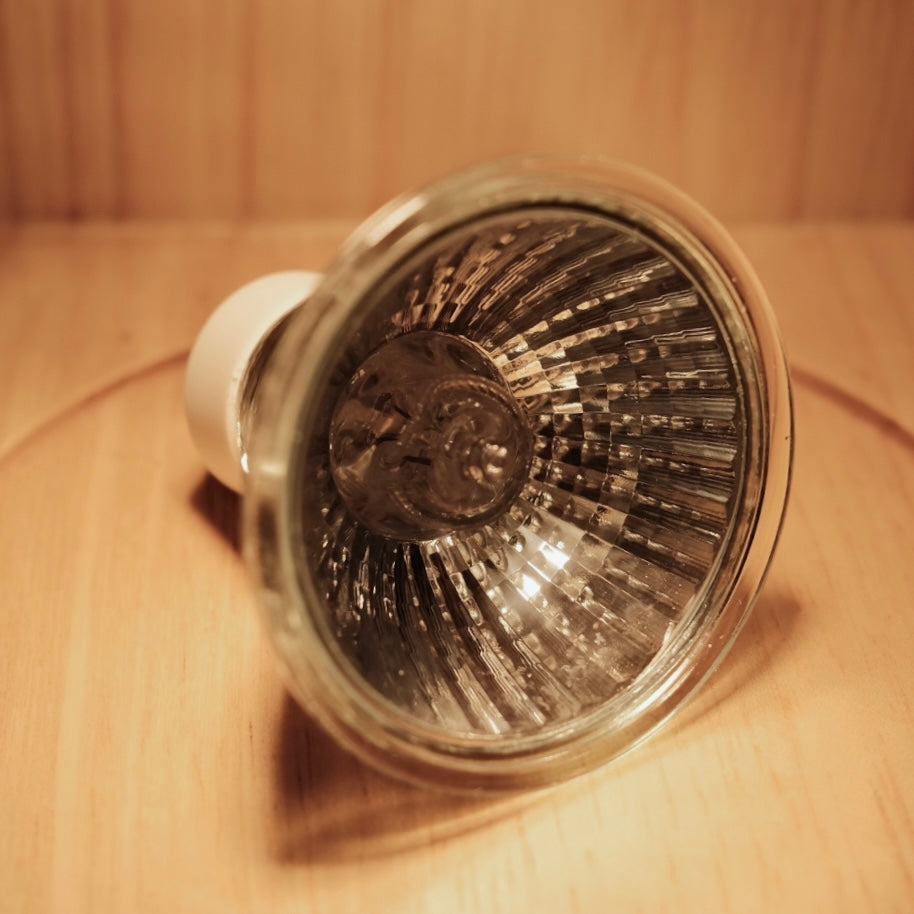 融蠟燈專用燈泡 220-240V Lightbulb for Candle Warmers