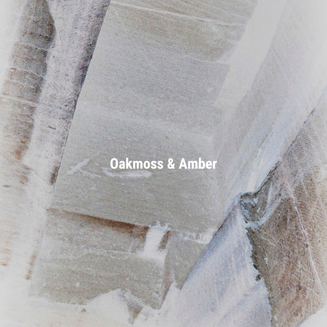 APFR Oakmoss & Amber Fragrance Candle｜琥珀橡苔蠟燭