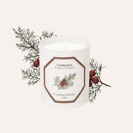 Carrière Frères Cypress Scented Candle｜柏樹 Cupressus