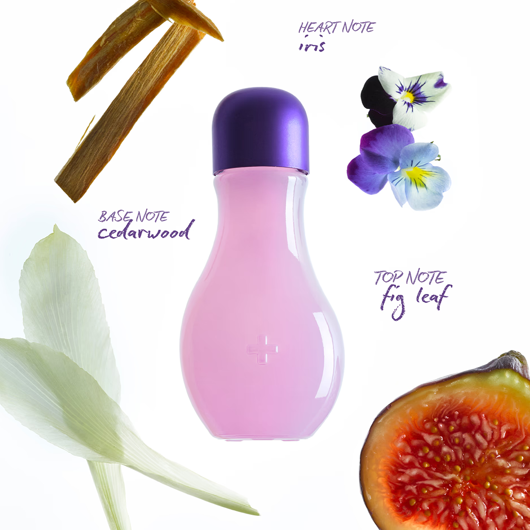 Fig Leaf Fragrance Oil 無花果夢香氛油｜DREAM