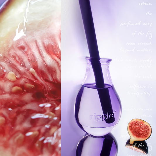 Fig Leaf Reed Diffuser 無花果夢擴香｜DREAM