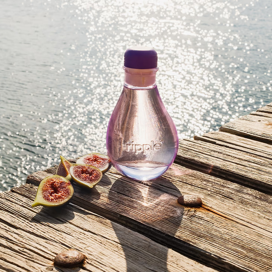 Fig Leaf Reed Diffuser 無花果夢擴香｜DREAM