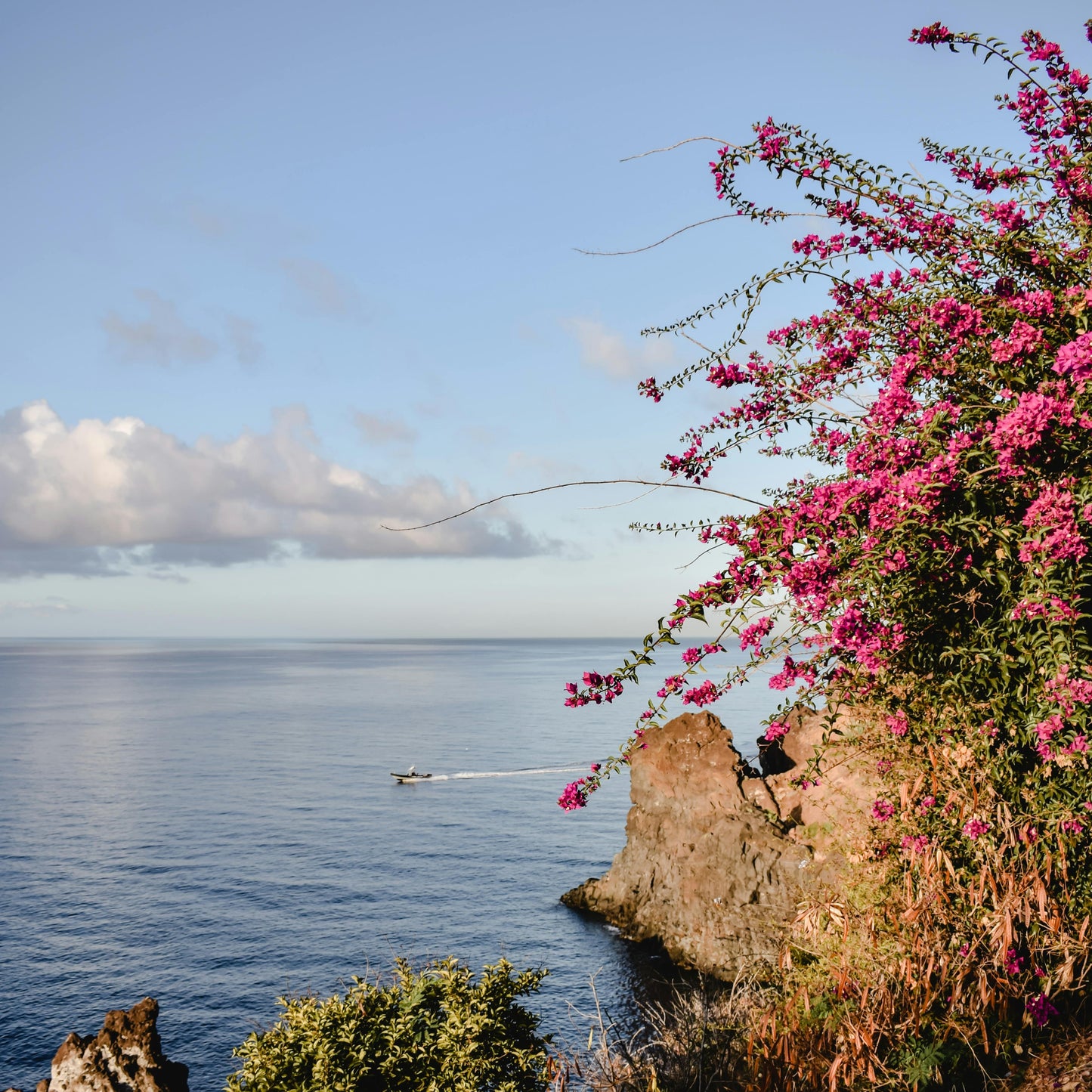 LUMIRA La Primavera Candle 四季如春蠟燭