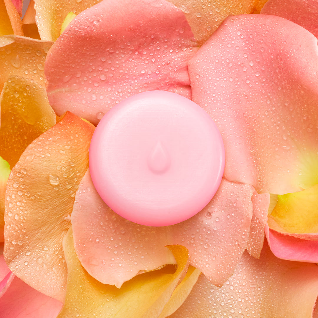 Rose Melts 玫瑰煥活蠟片｜BOOST
