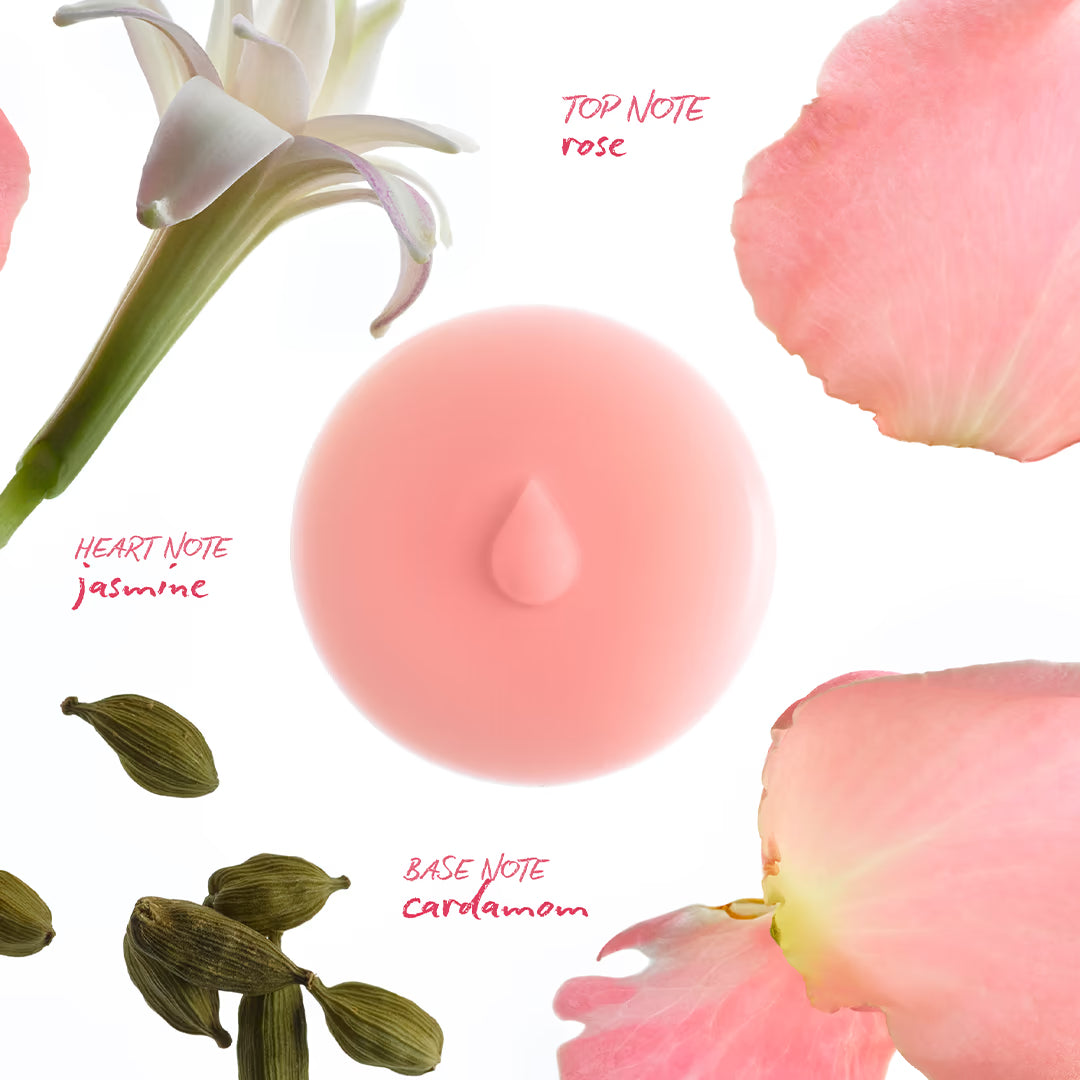 Rose Melts 玫瑰煥活蠟片｜BOOST