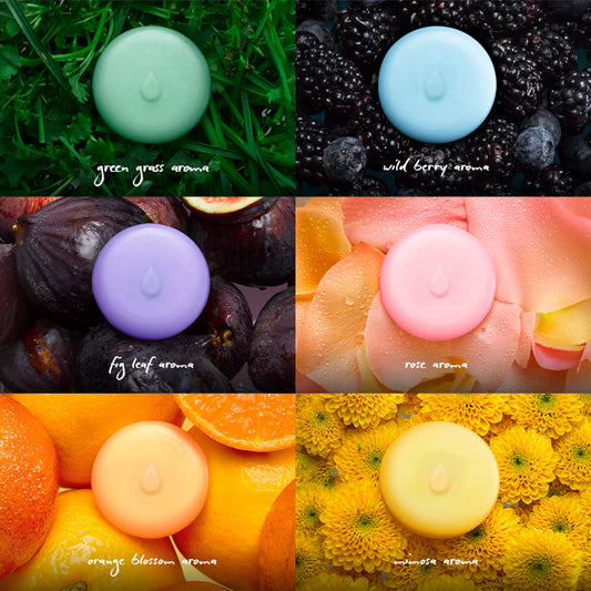 Wax Melts Full Set 香氛蠟片套裝