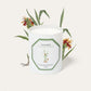 Carrière Frères Ginger Scented Candle｜生薑 Zingiber