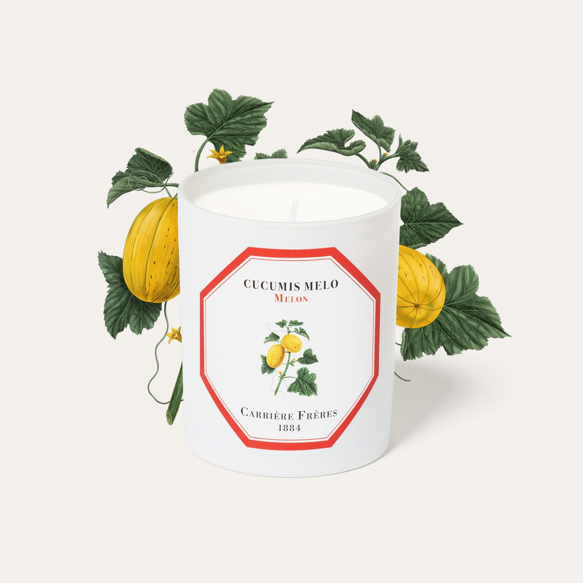 Carrière Frères Melon Scented Candle｜蜜瓜 Cucumis Melon